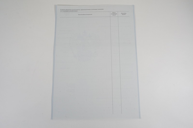 Диплом о начальном образовании 2007-2009 годов в Калининграде Диплом о начальном образовании 2007-2009 годов в Калининграде